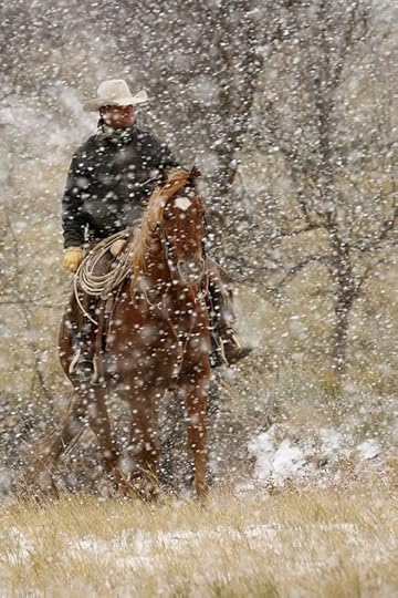 Carol Goodreads Addict Jones Al S Review Of Return To Falcon Ridge Carol Goodreads Addict Jones Al S Review Of Return To Falcon Ridge