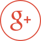  Google Plus