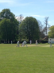 Wraysbury cricket summer