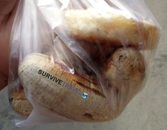 Delicious Cambodian Foods (4) - BBQ Banana - Survive Travel