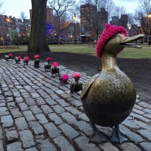 DucklingsPussyhats copy