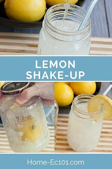 Lemon Shake-Up