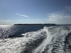 IMG_9097