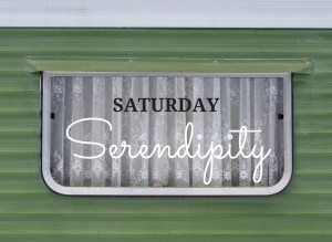 Every Saturday, Rain or Shine