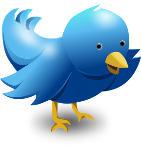 twitter-117595_960_720