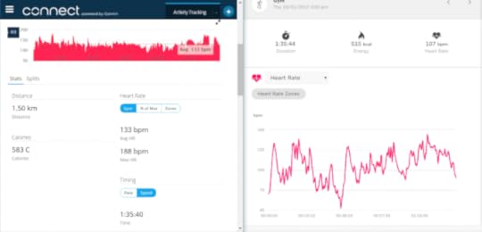 merilin-taimre-paljas-porgand-blogi-fitness-tervis-sport-trenn-sktiivsus-pulsi-monitor-kell-palmtek-kasulik-eksperiment-kalorid-rasv-indeks-keha-mass-kaal-tomtom-garmin