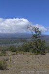 Mauna Loa
