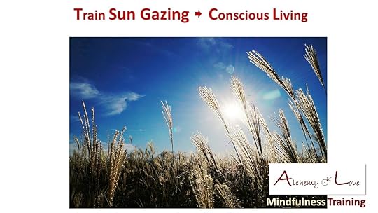 Light and meditation techniques