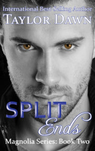 Split Ends eBook-1 final