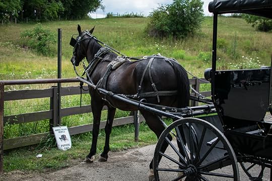 What We Should Learn From The Amish