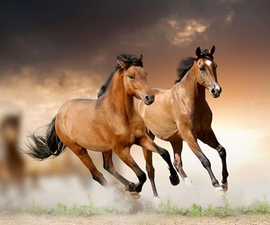 horses