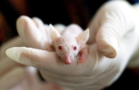 Animals in Medicinal Experiments