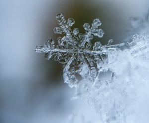 crystal-iced-icing