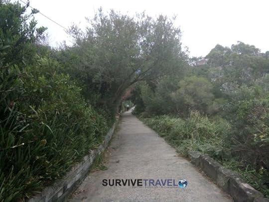 Bondi to Coogee Coastal Walk Review (2) - Walking Trail - Survive Travel