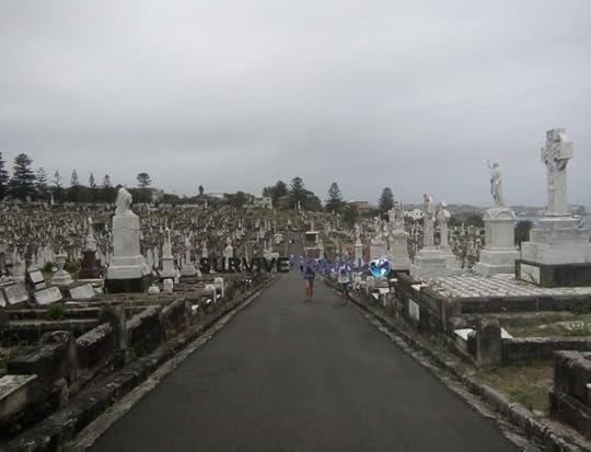 Bondi to Coogee Coastal Walk Review (5) - Cemetary - Survive Travel