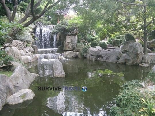 Things to do in Sydney - Chinese Garden of Friendship Review (2) -Waterfall - Survive Travel