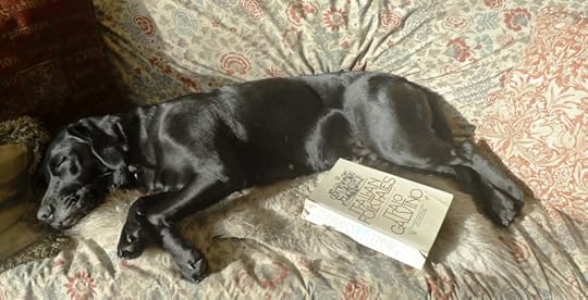 Tilly dreaming of fairy tales