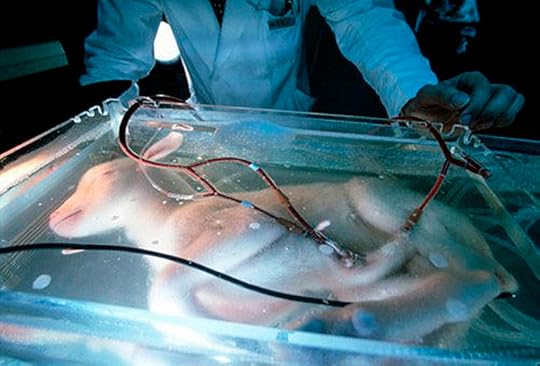 Artificial womb for goat fetuses created by Japanese researchers in mid 1990s