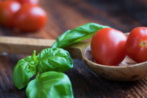 tomatoes-1457343_960_720