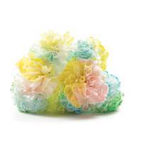 TieDyeFlowersFinal-3