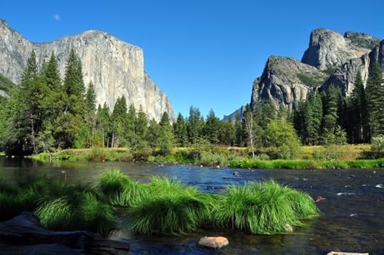 nature-1813903_1920
