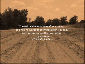 Quote soil held one miracle after another