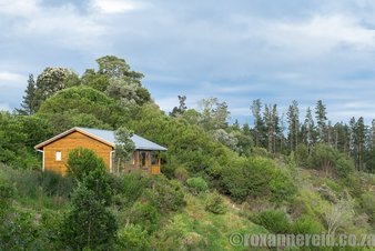 Cliffhanger cottages, Knysna