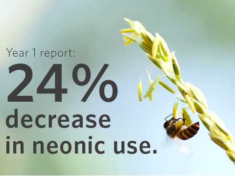 Photo: Phase-in of Ontario's neonic regulation hits new milestone