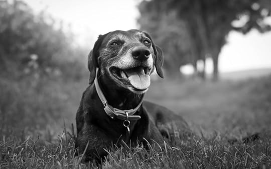 64df8e298c9580580d914c591107cafc