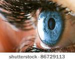 stock-photo-blue-eye-86729113
