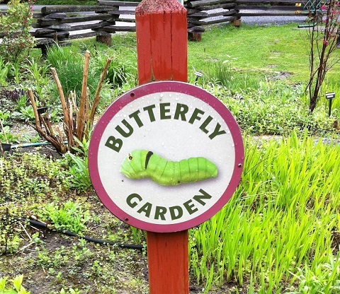 Photo: How to be a Butterfly Ranger