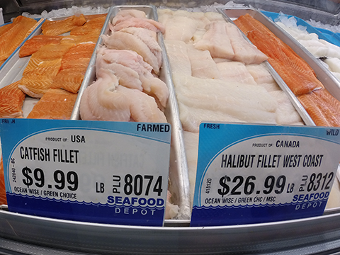 Photo: Demand better seafood labelling