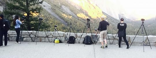 A Typical Viewpoint