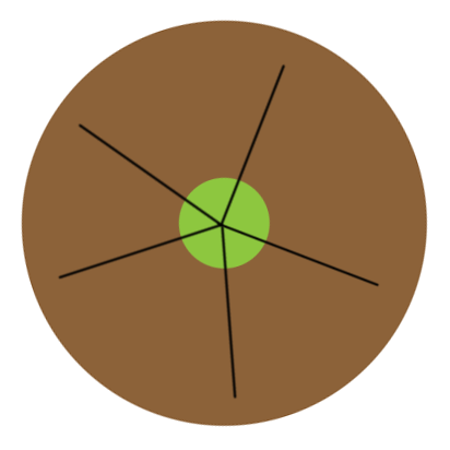 Cut the kiwi to look like a demogorgon