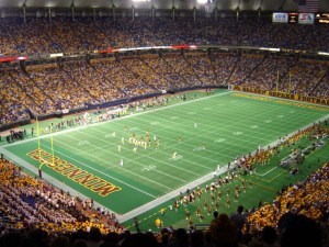 minnesota_gophers