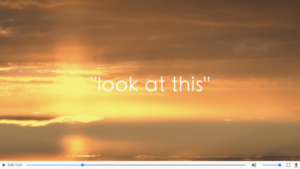 Leadership Video Series