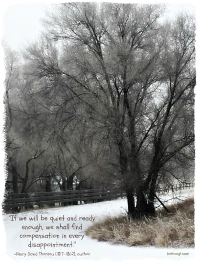 being quiet and ready in disappointment 2017 -1.FINAL