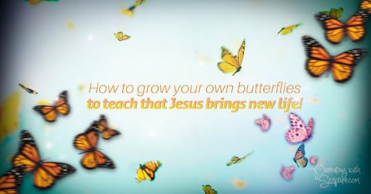 butterfliewnewlife