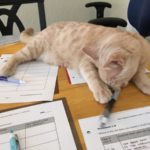 Taking the Pen I'm Using