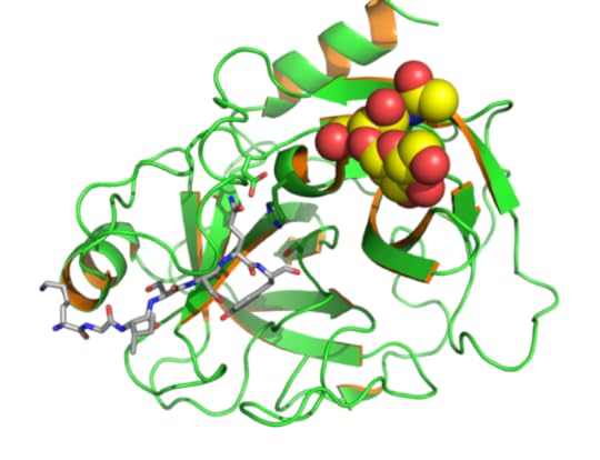 1003px-PSA_KLK3_PDB_2ZCK
