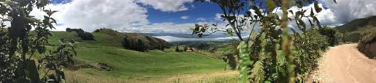 View by the road