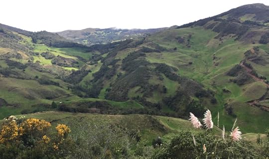 Nothing but nature