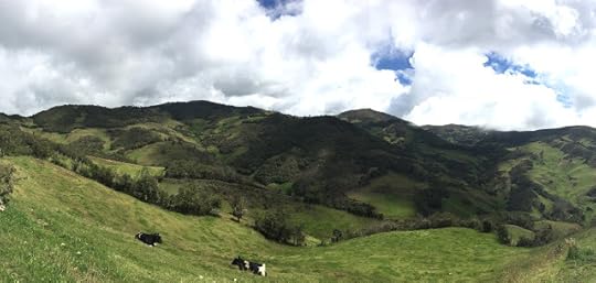 The life of a cow