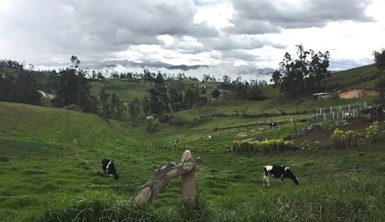 Beyond the old fence