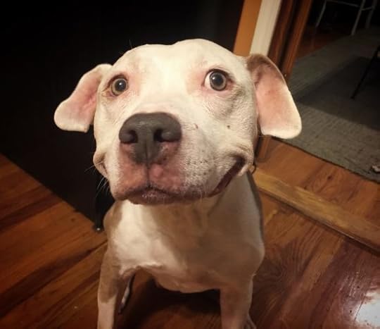 Instagram: @smilingbrinks 