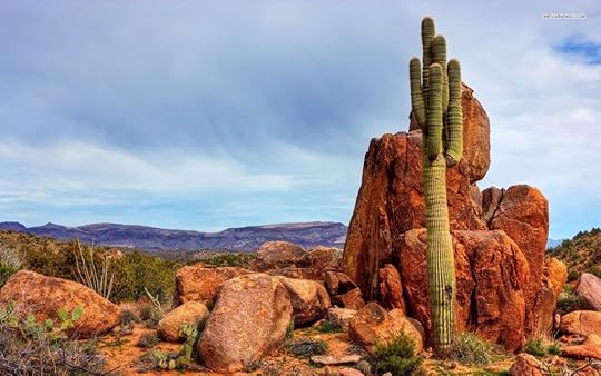 saguaro-desert-1349-1680x1050