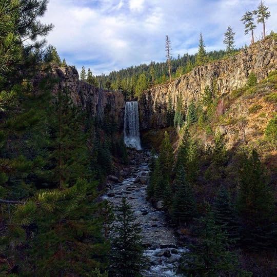 Waterfall Oregon