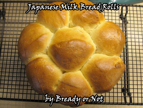 Bready or Not: Japanese Milk Bread Rolls 