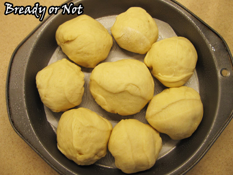 Bready or Not: Japanese Milk Bread Rolls 