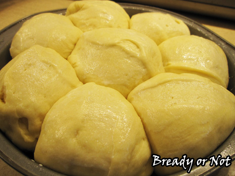Bready or Not: Japanese Milk Bread Rolls 